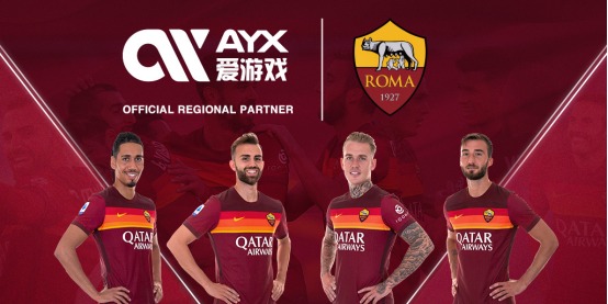 一个国家的