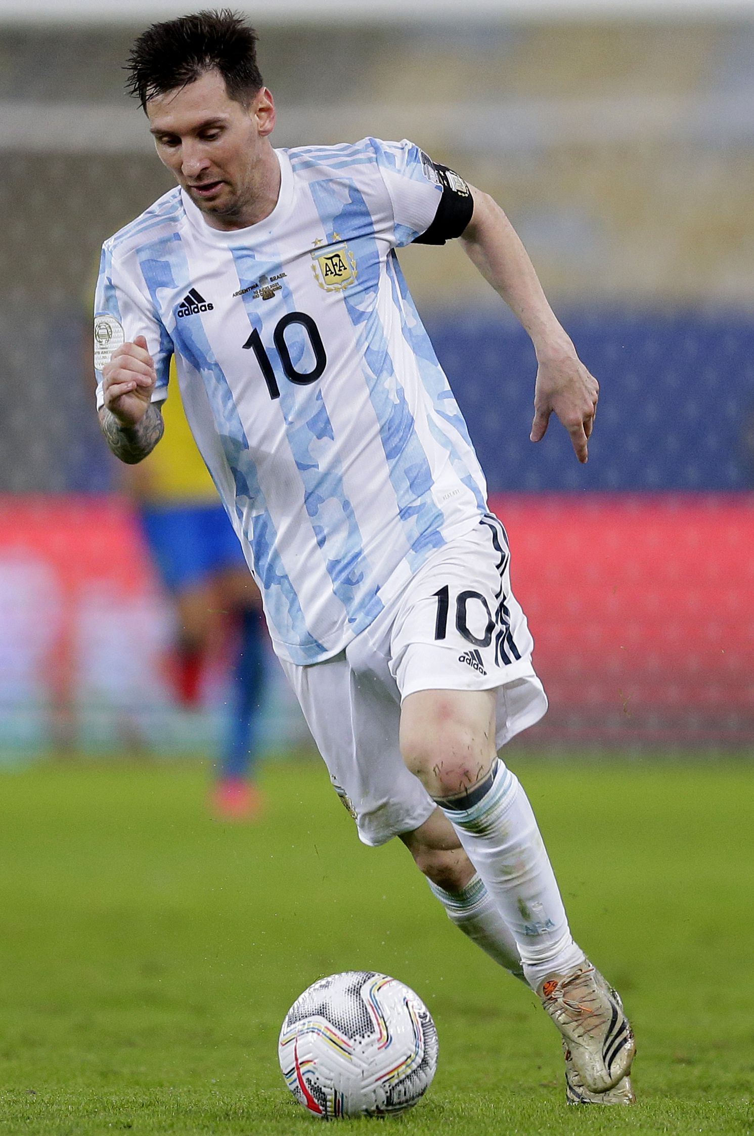 条的常客 条的常客